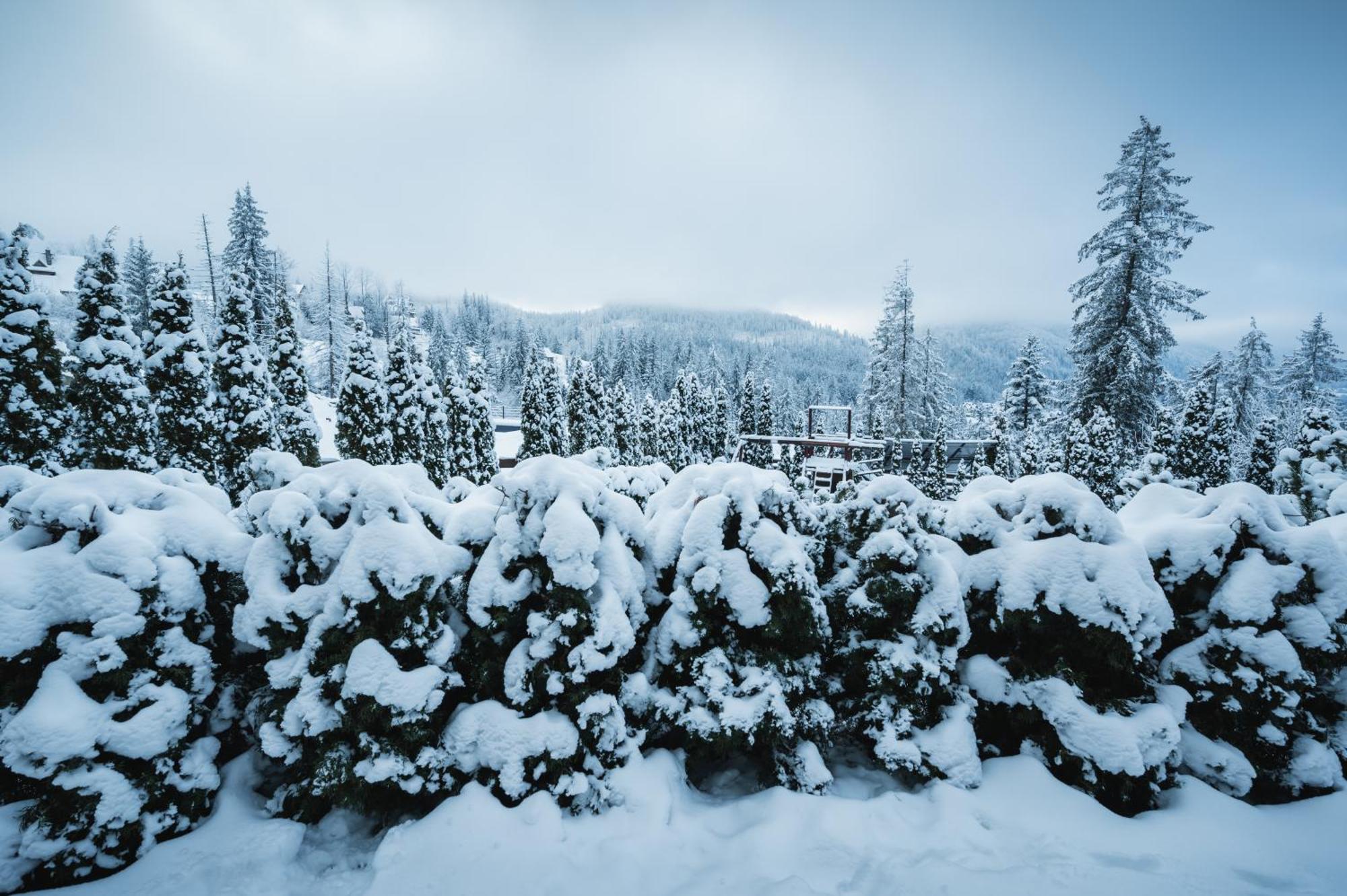 VisitZakopane - JANOSIK Apartment Zewnętrze zdjęcie