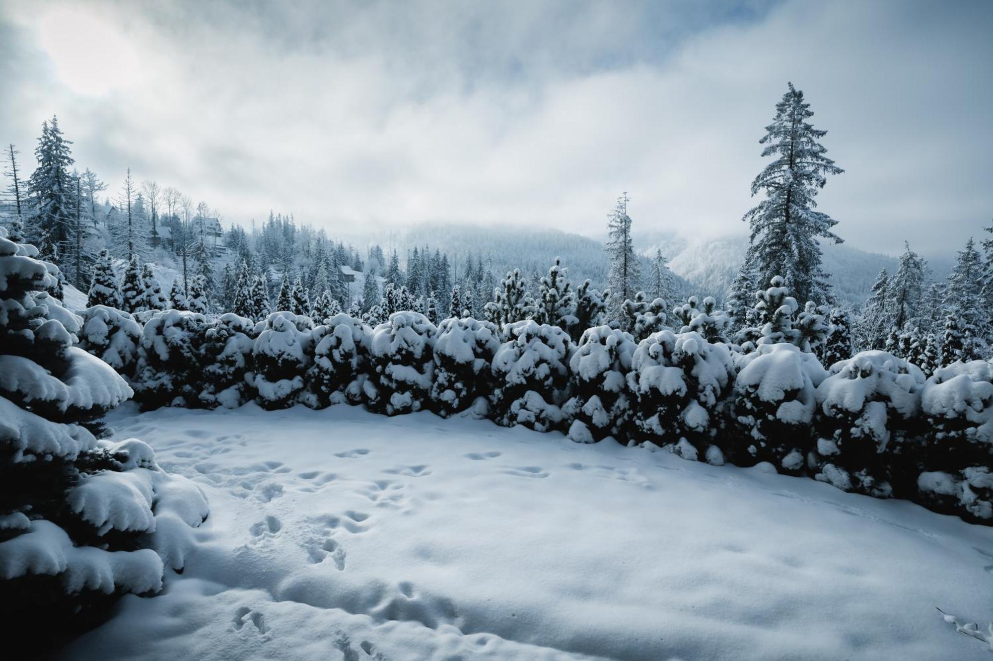 VisitZakopane - JANOSIK Apartment Zewnętrze zdjęcie